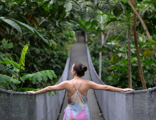 Costa Rica Road Trip Part 1: Searching for ‘Pura Vida’